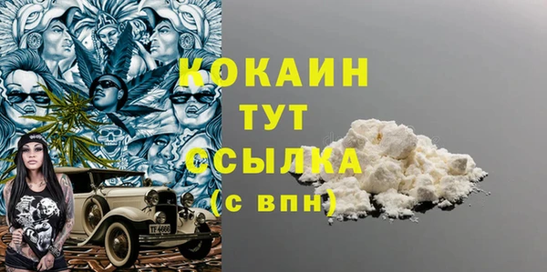 трава Магас