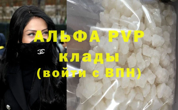 прущие грибы Бикин