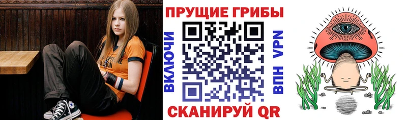 Псилоцибиновые грибы Cubensis Кадников